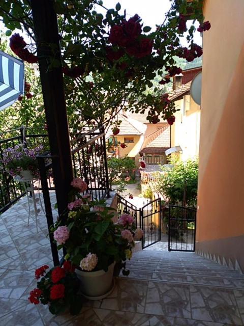 Gorazde-Centar Apartment Buitenkant foto